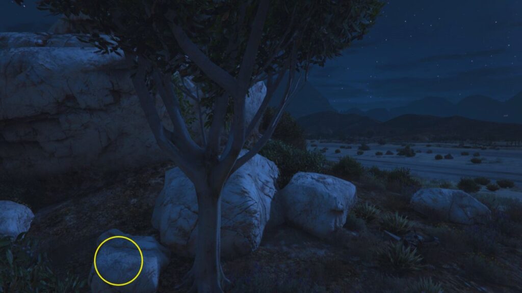 The LD Organics Product on a huge rock next to a tree.