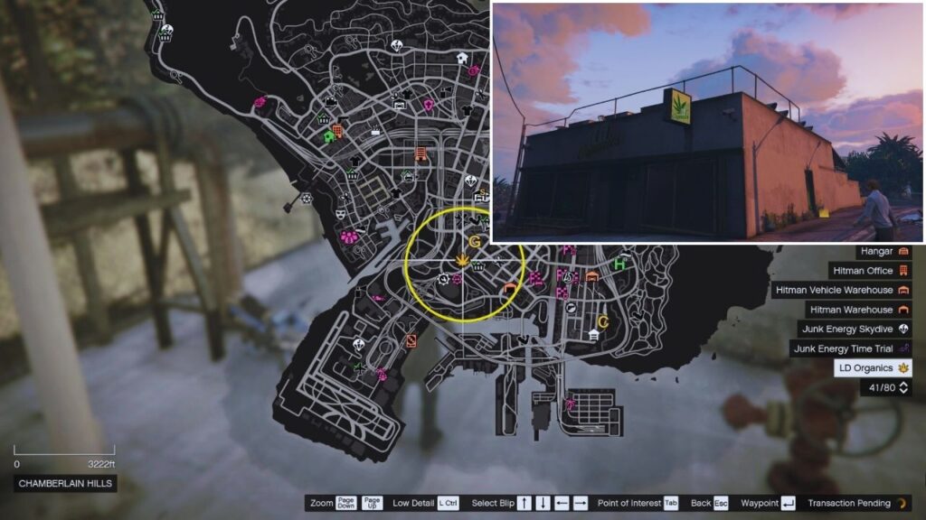In-game GTA Online map of Chamberlain Hills, featuring the LD Organics Store.